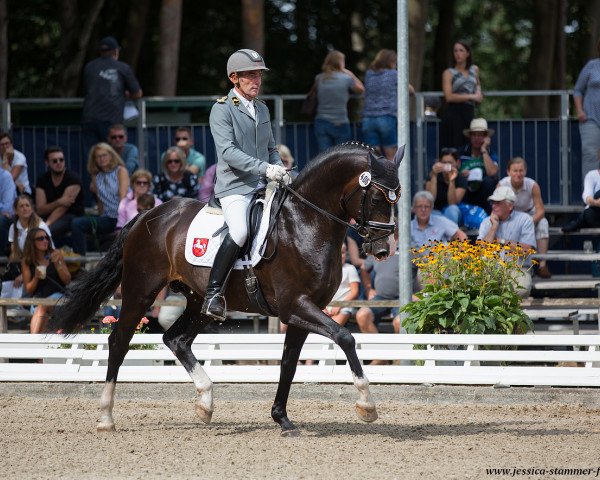stallion Emilio (Hanoverian, 2012, from Estobar NRW)