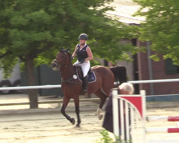 Reitturnier Haren 2017
