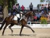 dressage horse Djasper Deluxe (Oldenburg, 2012, from Dante Weltino Old)