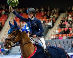 jumper Staralme Esc Z (Zangersheide riding horse, 2005, from Stakkato)