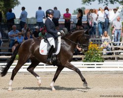 stallion Dior 168 (Hanoverian, 2012, from De Niro)