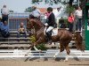 stallion Dalicanto (Hanoverian, 2012, from Dancier)