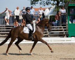 broodmare Bonita Springs (Rhinelander, 2012, from Boston)