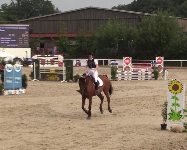 Reitturnier Haren 2017