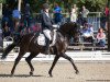 dressage horse First Choice 32 (Hanoverian, 2012, from Fürstenball)