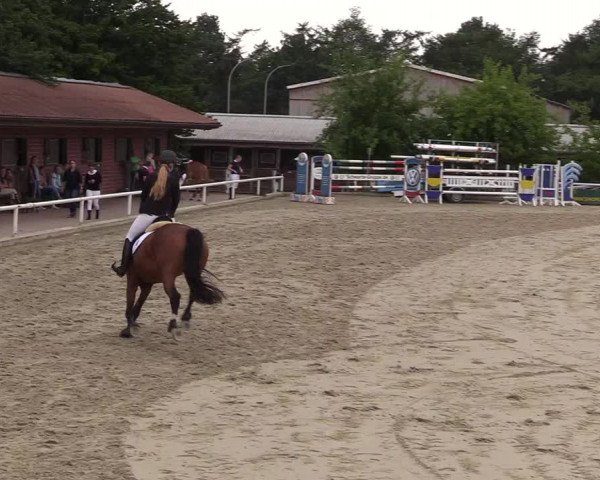 Reitturnier Haren 2017