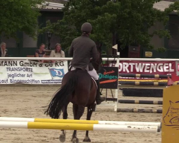 Reitturnier Haren 2017