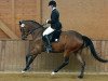 broodmare Schwalbenfest (Trakehner, 2003, from Freudenfest)