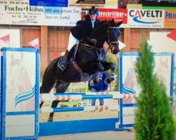 dressage horse Springtime (Trakehner, 2007, from Summertime)