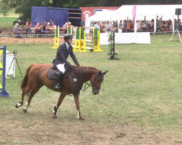 Reitturnier Herrenberg-Gültstein 2017