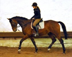 Dressurpferd Karalino (Trakehner, 2010, von Summertime)