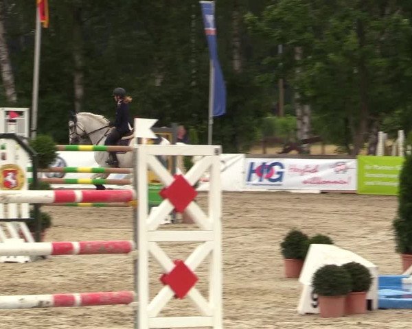 Reitturnier Münster-Roxel 2017