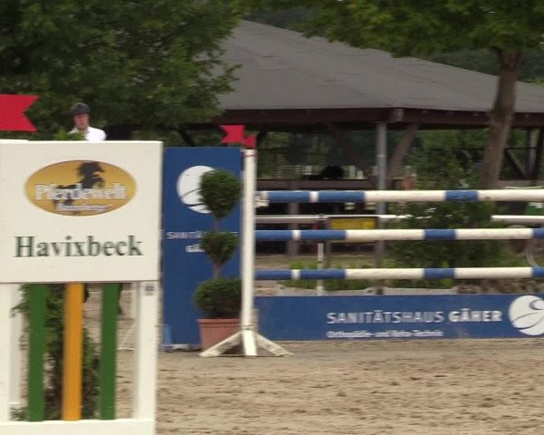 Reitturnier Münster-Roxel 2017
