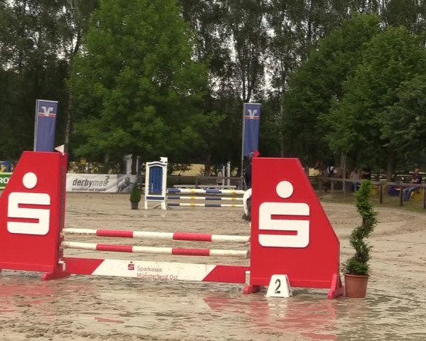Reitturnier Münster-Roxel 2017