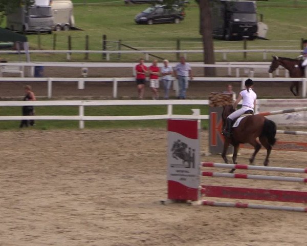Reitturnier Letmathe 2017
