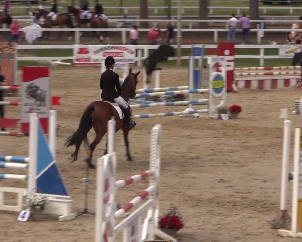 Reitturnier Letmathe 2017