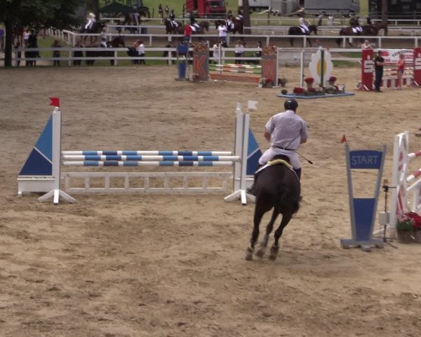 Reitturnier Letmathe 2017