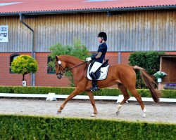 broodmare Fürstenfee 4 (Hanoverian, 2009, from Fürst Romancier)