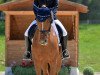 dressage horse Anna Luca (Bavarian, 2003, from Pasolongo)