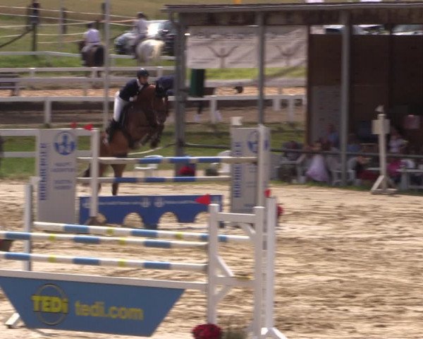 Reitturnier Letmathe 2017