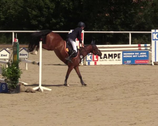 Reitturnier Haren 2017