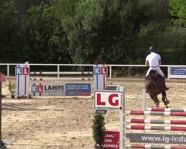 Reitturnier Haren 2017