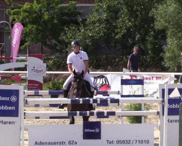 Reitturnier Haren 2017