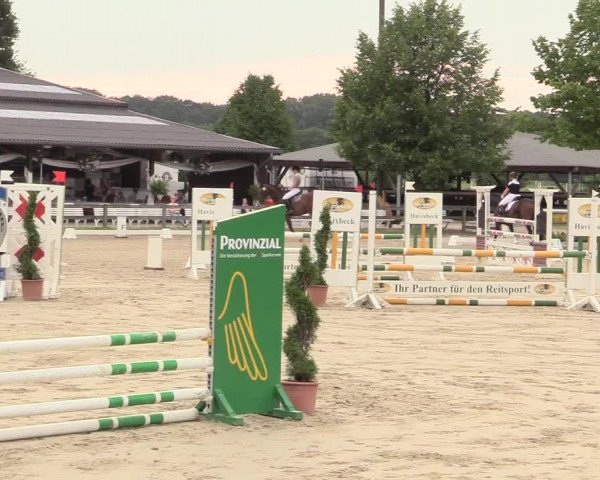 Reitturnier Münster-Roxel 2017