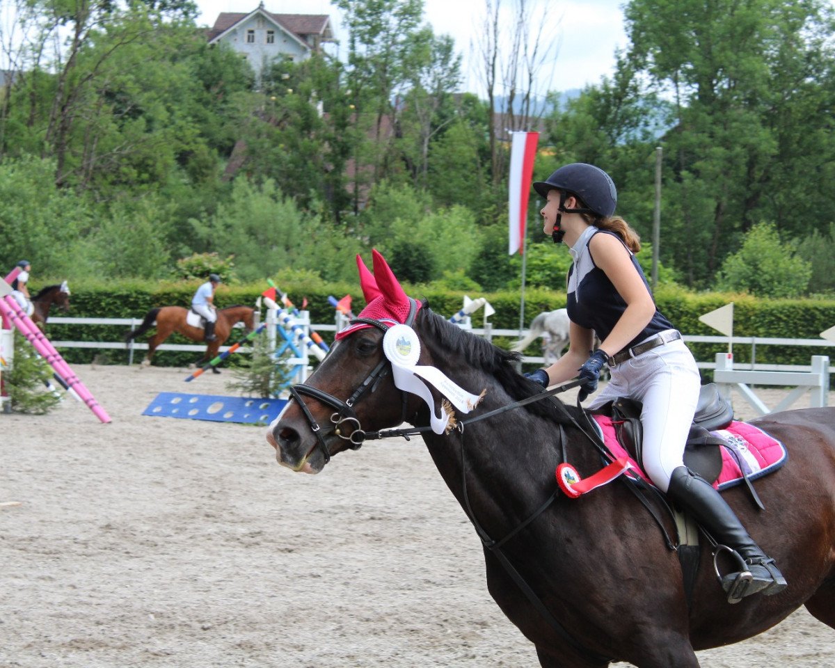 jumper Wiera CH (+) (Swiss Warmblood, 1999, from Wango des Pres)