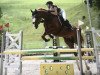 jumper Lusimor CH (Swiss Warmblood, 2010, from Lupicor)