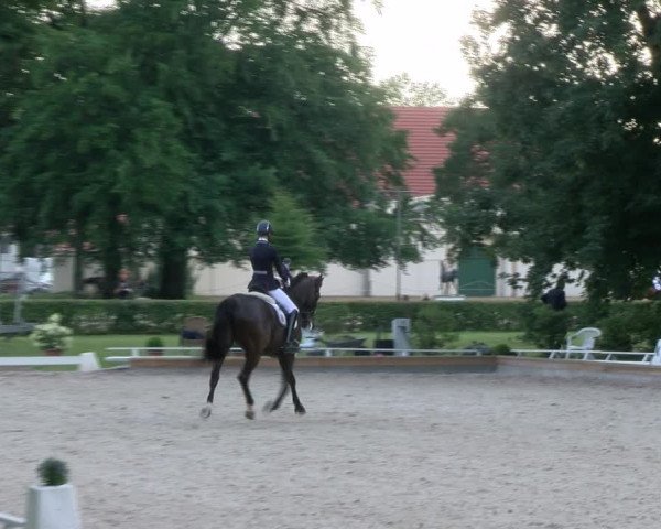 Reitturnier Redefin 2017