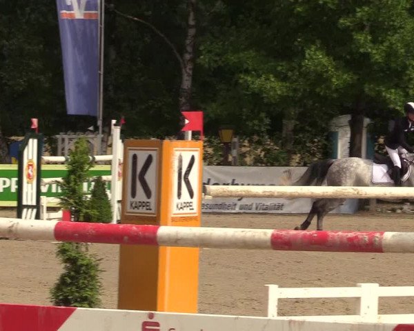 Reitturnier Münster-Roxel 2017