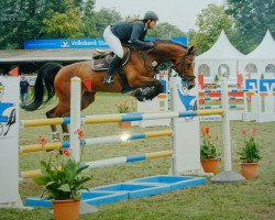 jumper Calupico (Hanoverian, 2008, from Count Grannus)