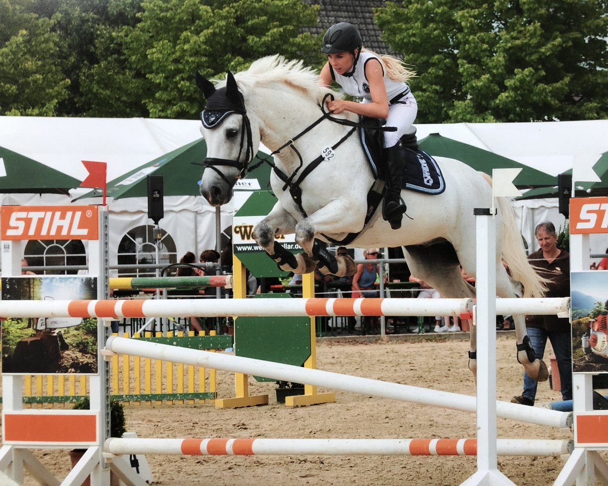 Springpferd Quite Ramiro L (Holsteiner, 2003, von Quite Capitol)