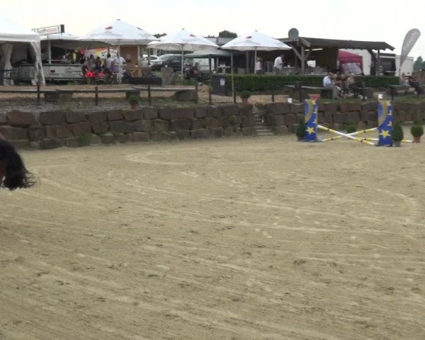 Reitturnier Lindlar-Süttenbach 2017
