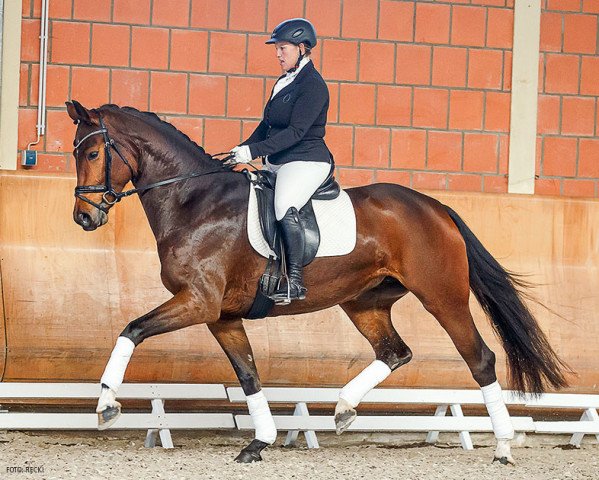 broodmare Fascination W (Rhinelander, 2012, from Foundation 2)