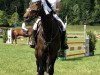 jumper Elvis Vom Eigen (Swiss Warmblood, 2011, from El Bundy)