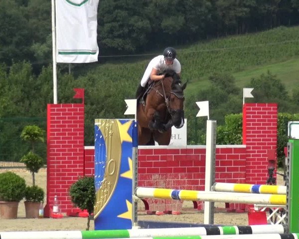 Reitturnier Lindlar-Süttenbach 2017