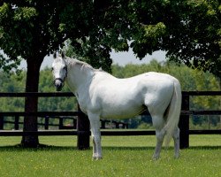 stallion Linamix xx (Thoroughbred, 1987, from Mendez xx)