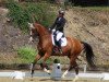 dressage horse Je m'appelle Püppi (KWPN (Royal Dutch Sporthorse), 2009, from Glock's Johnson Tn)