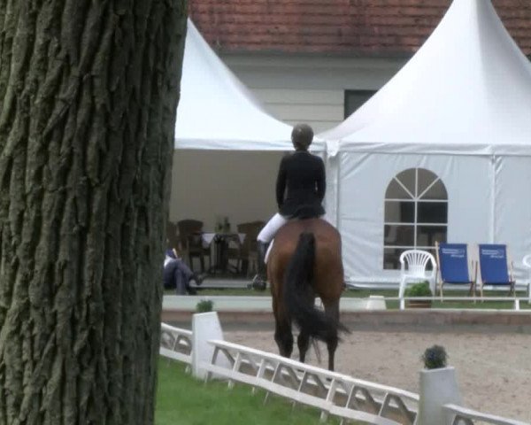 Reitturnier Redefin 2017