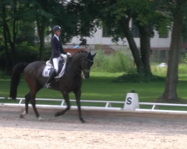 Reitturnier Redefin 2017
