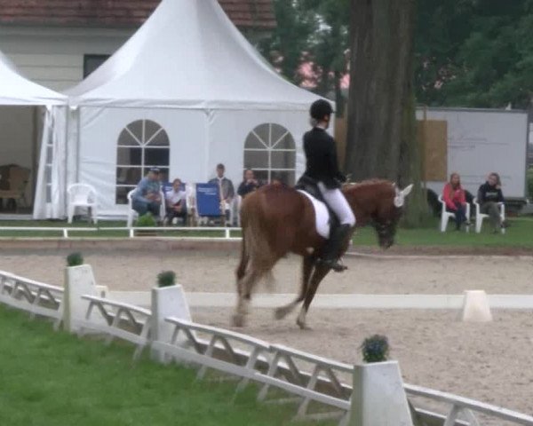 Reitturnier Redefin 2017