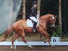 dressage horse Go lightly 3 (Holsteiner, 2014, from Dolany)