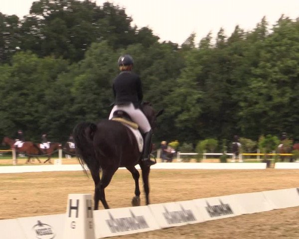 Euregioturnier Wietmarschen 2017