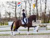 dressage horse Dolce Vita (Hanoverian, 2011, from Dannebrog)