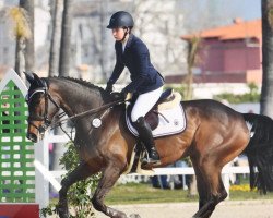 broodmare Bellalottchen (Oldenburg show jumper, 2010, from Balou du Rouet)