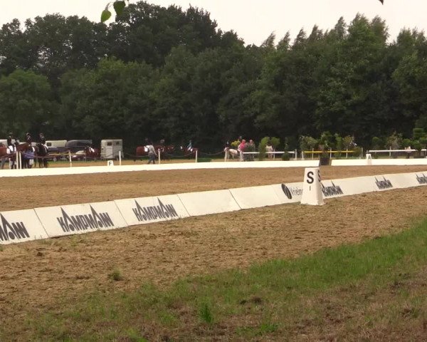Euregioturnier Wietmarschen 2017
