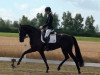 dressage horse Fleur d'Amour 13 (Hanoverian, 2015, from Fürsten-Look)