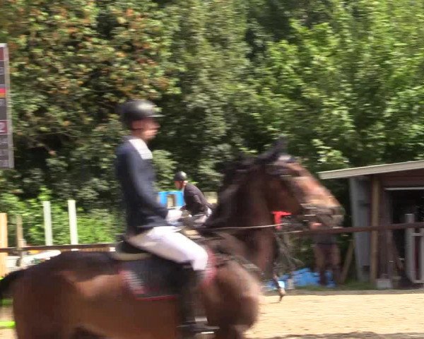 Reitturnier Marienheide - Kempershöher Reitertage 2017